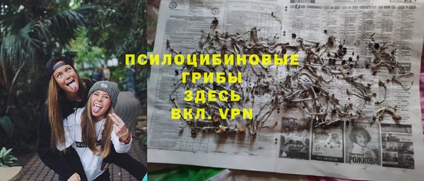 ALPHA PVP Алексеевка