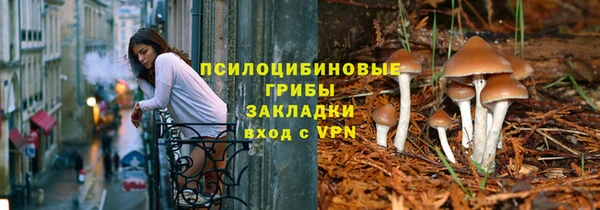 не бодяженный Алексин