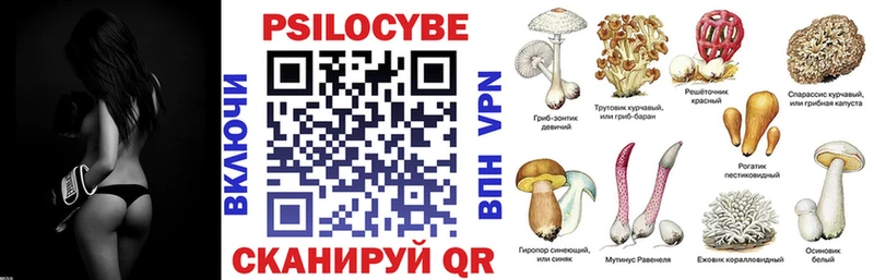 где купить наркоту  Елабуга  Псилоцибиновые грибы Magic Shrooms 