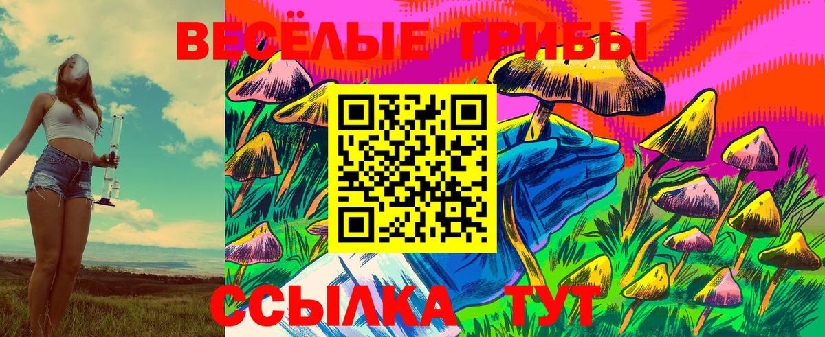 Елабуга  Псилоцибиновые грибы Magic Shrooms  Галлюциногенные грибы мицелий  Вход с VPN 
